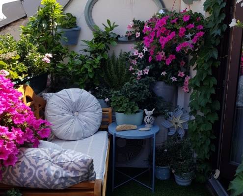 Klimaschutz uin kleinen Schritten - Urban Gardening Vienna