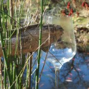 Holzfisch trifft auf überdimensionales Weinglas